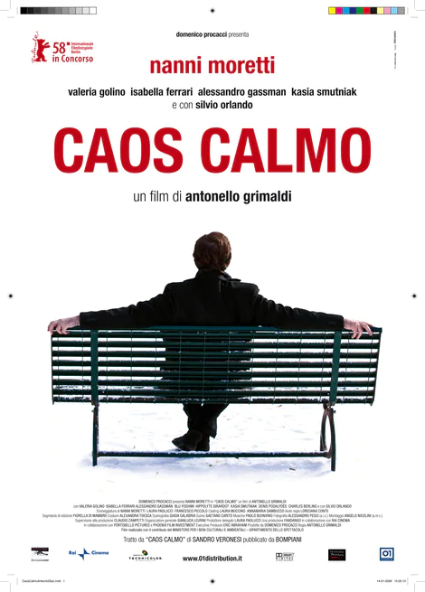 Caos calmo (2007)