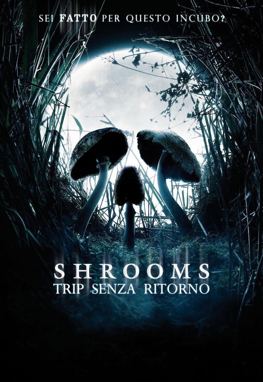 Shrooms – Trip senza ritorno [HD] (2006)