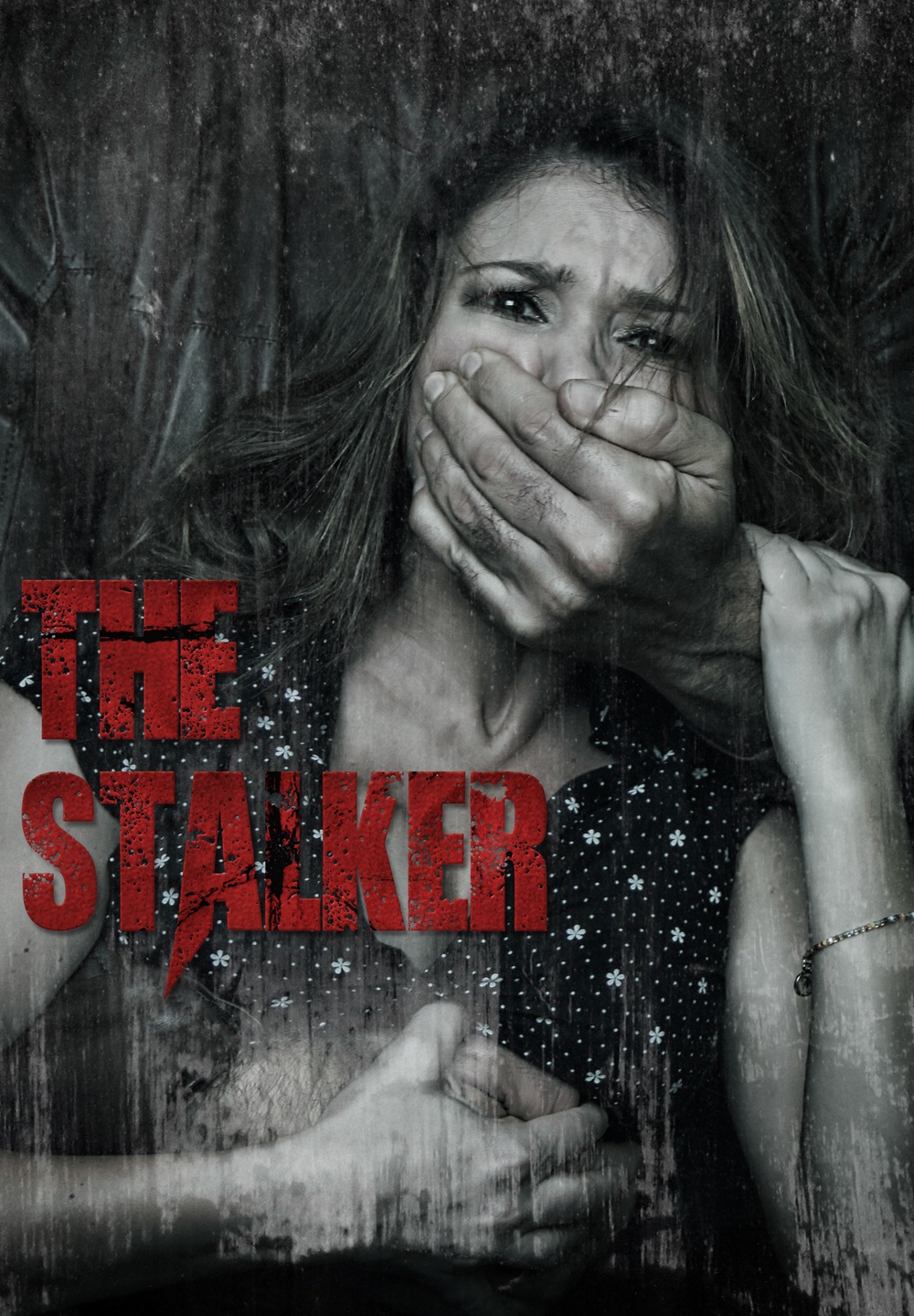The Stalker (2014)